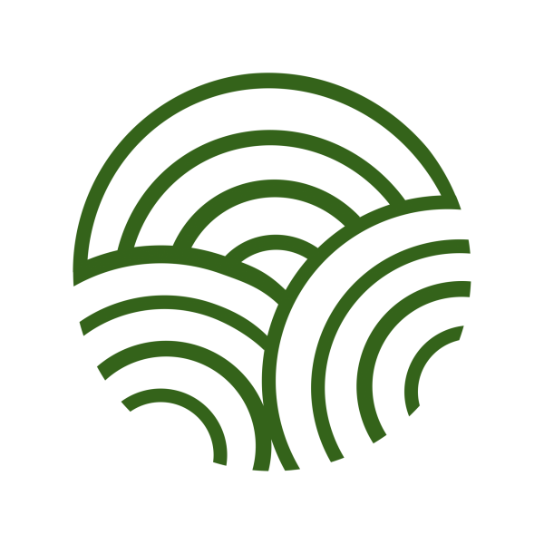 English Education Ireland (MEI)